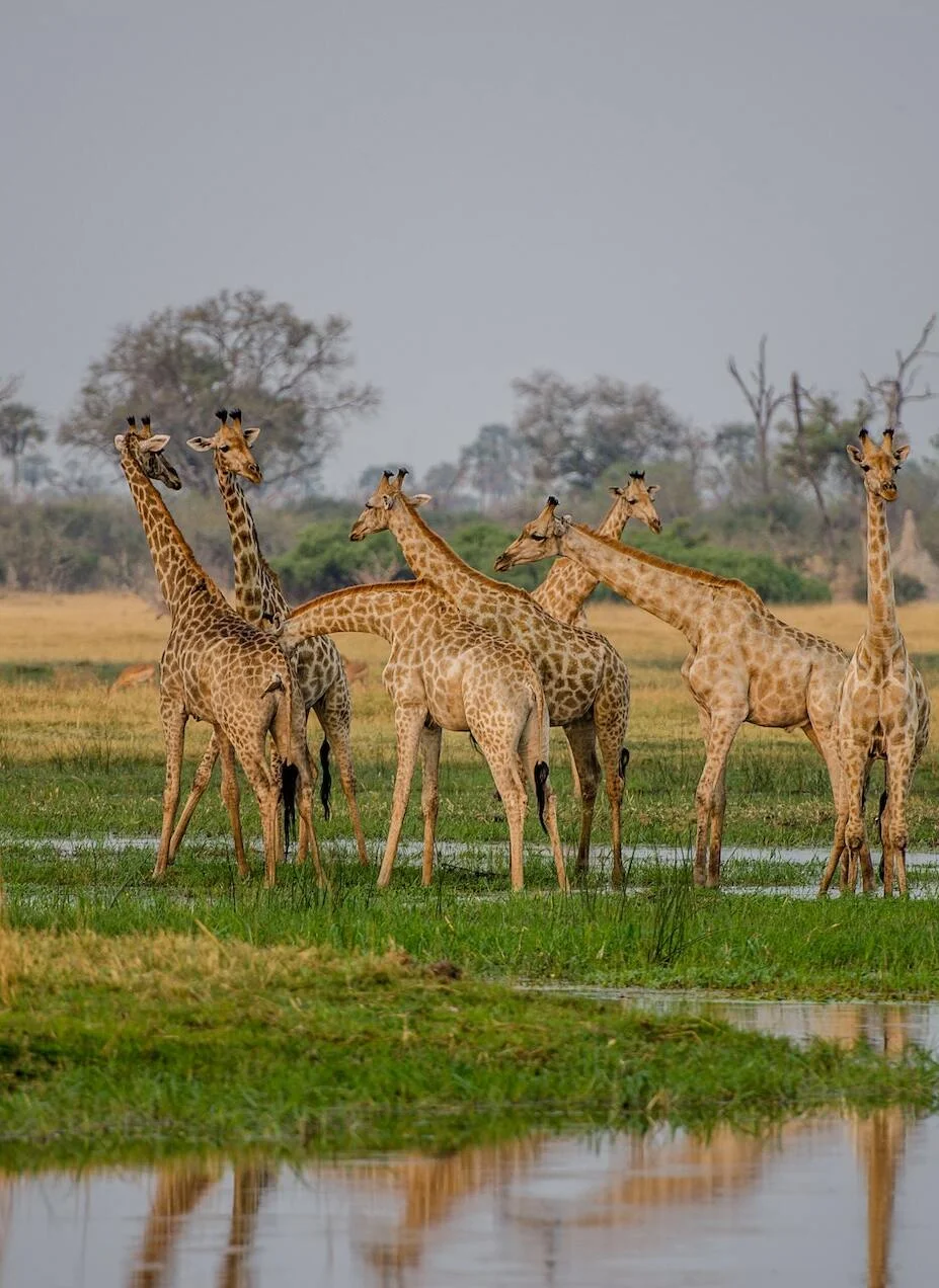 nairobi