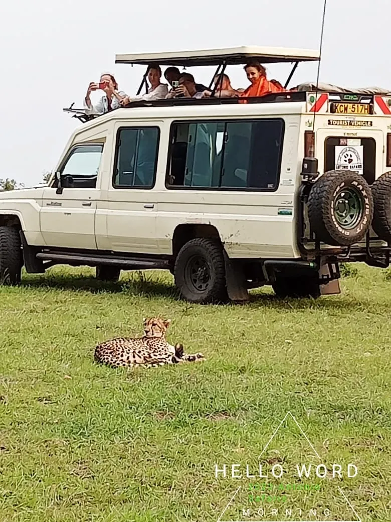 leopard