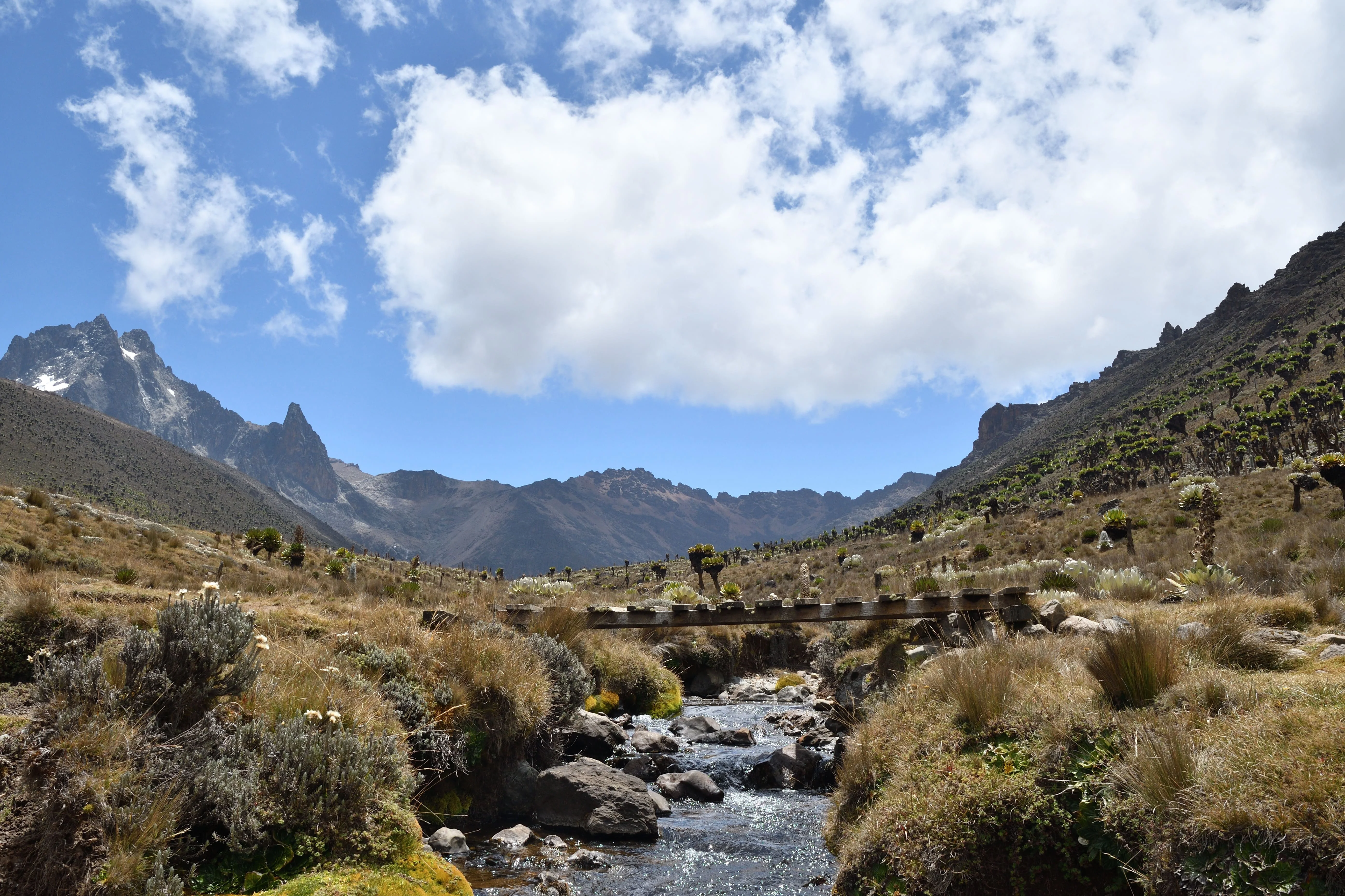 mount-kenya-sirimon