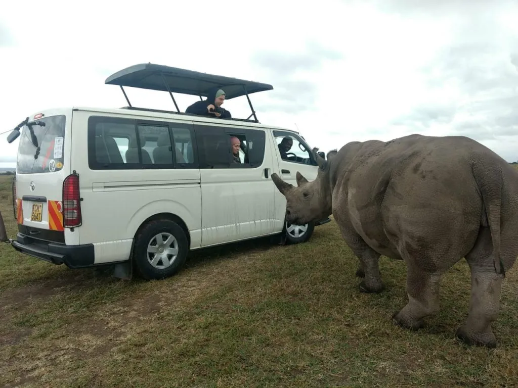 tour vehicle