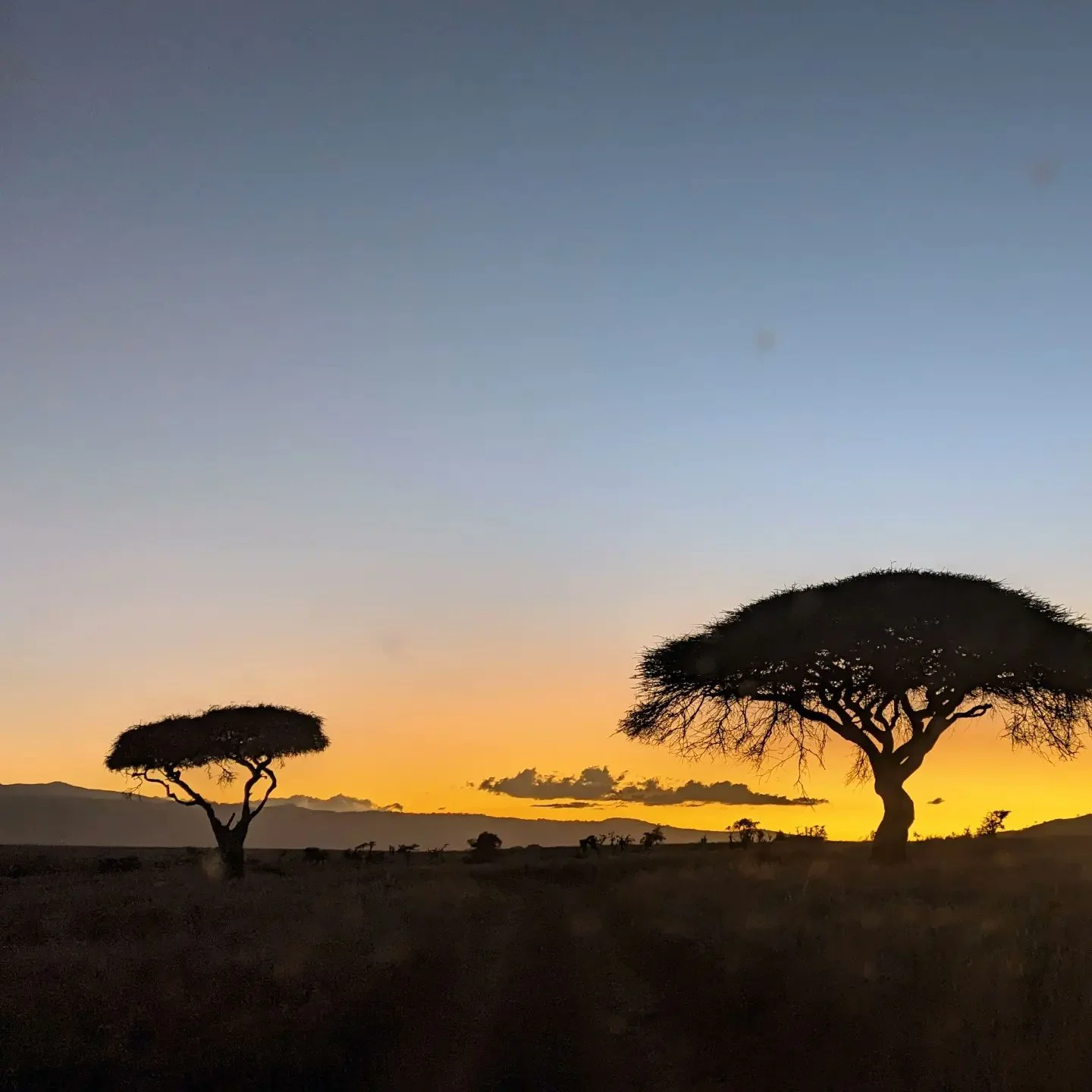 evening-sunset