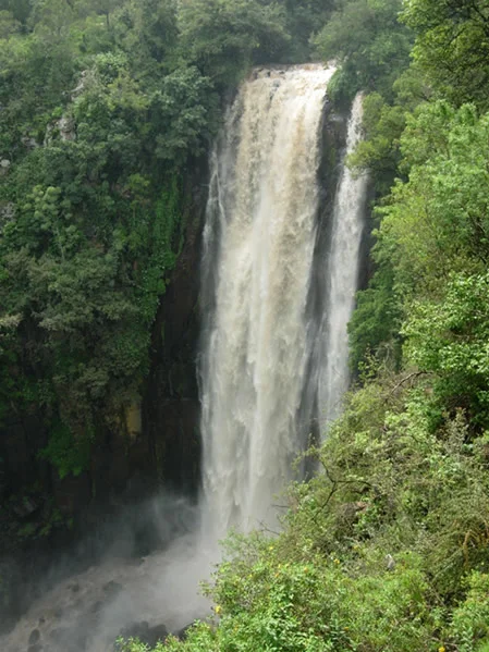 masai